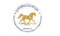 DIHF Dubai International Horse Fair