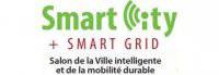 Smartcity+Smartgrid