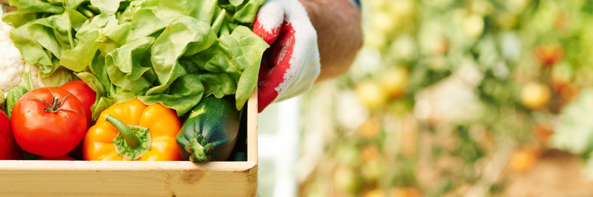 Yiyecek Fuarı - TSW Fruit and Vegetable Industry Fair